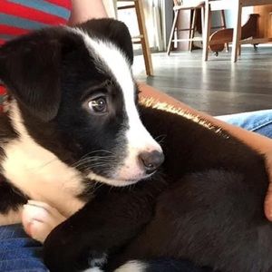 Meet your Posher, Alia